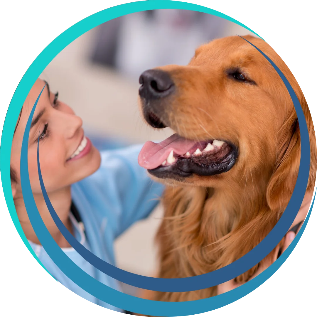 A smiling veterinarian gently holding a happy golden retriever.