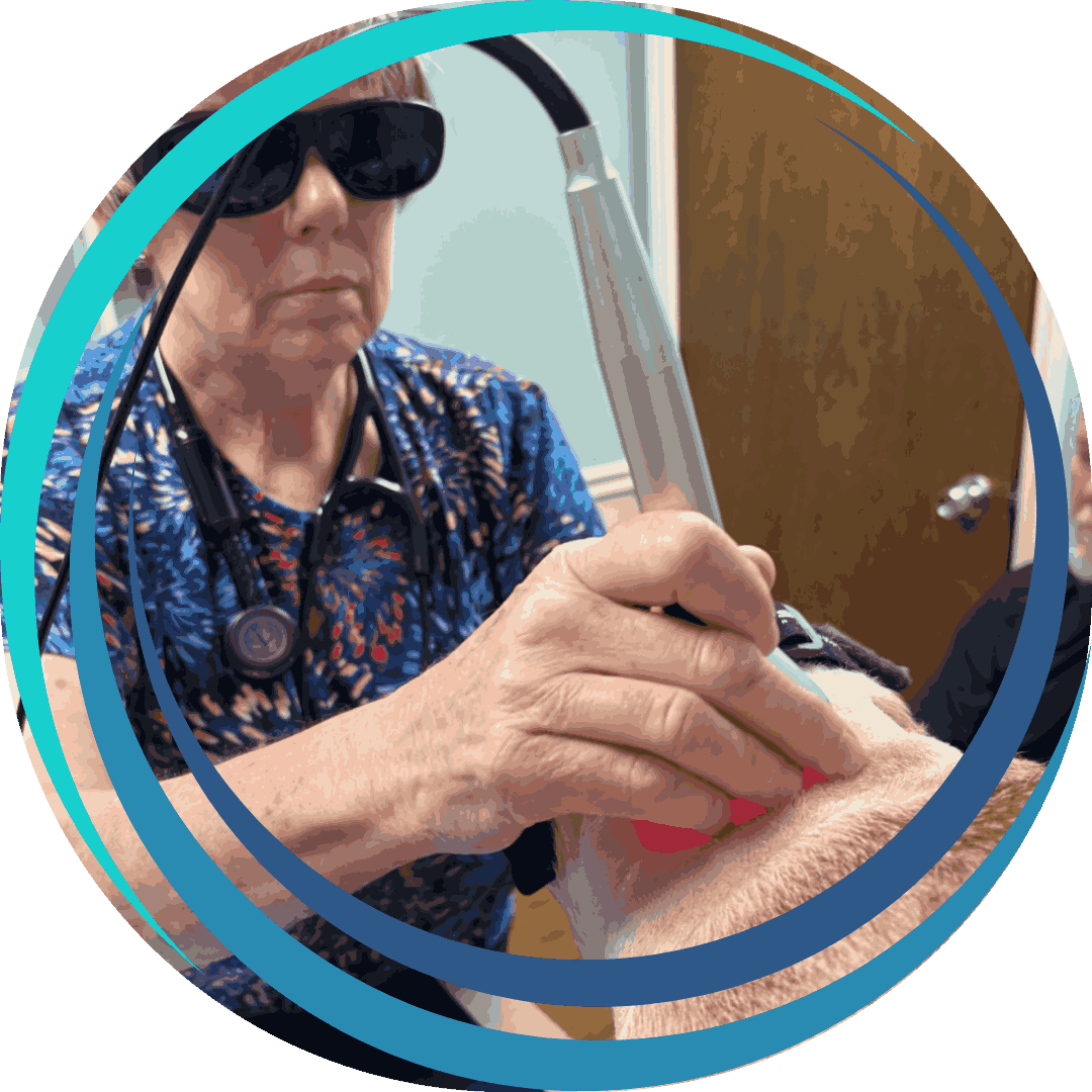 a dog wearing protective goggles receives laser therapy on its paw from a vet a dog wearing protective goggles receives laser therapy on its paw from a vet