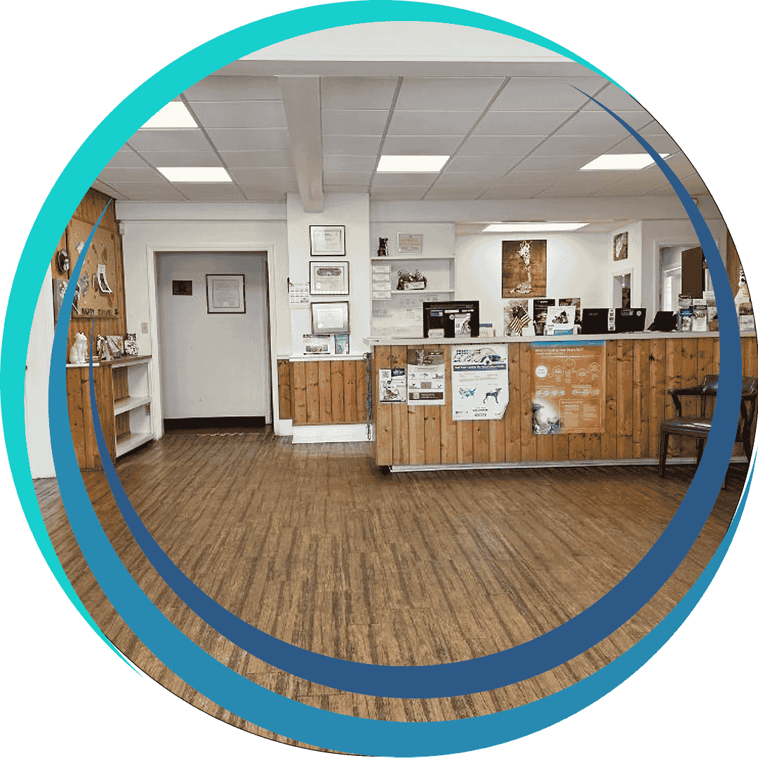 Burke Animal Clinic Inside View